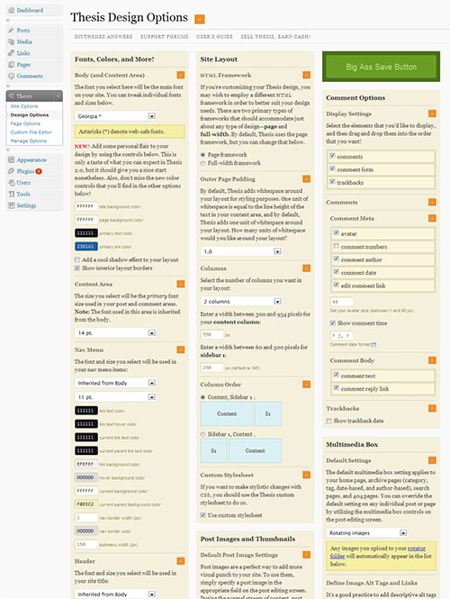 thesis design options page