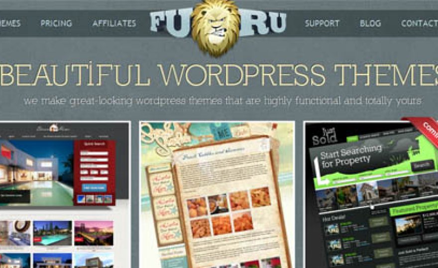 New Premium WordPress Theme Stores